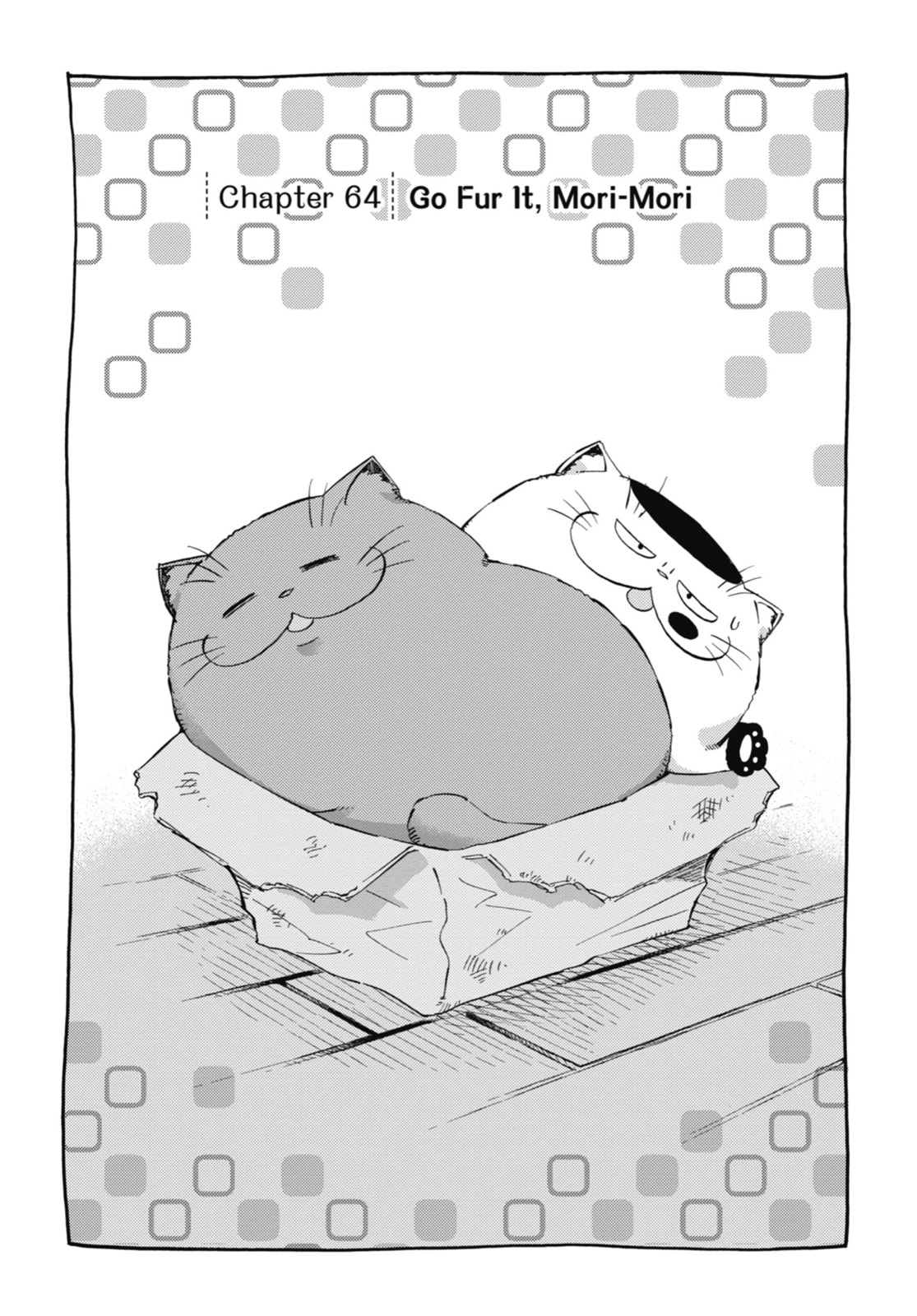 A Man and His Cat – Chapter 64 page 0