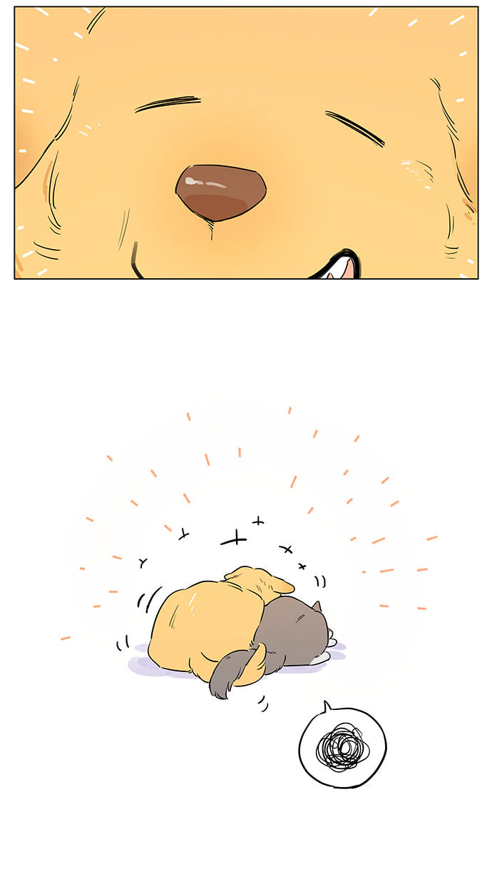 Let's play game page 13