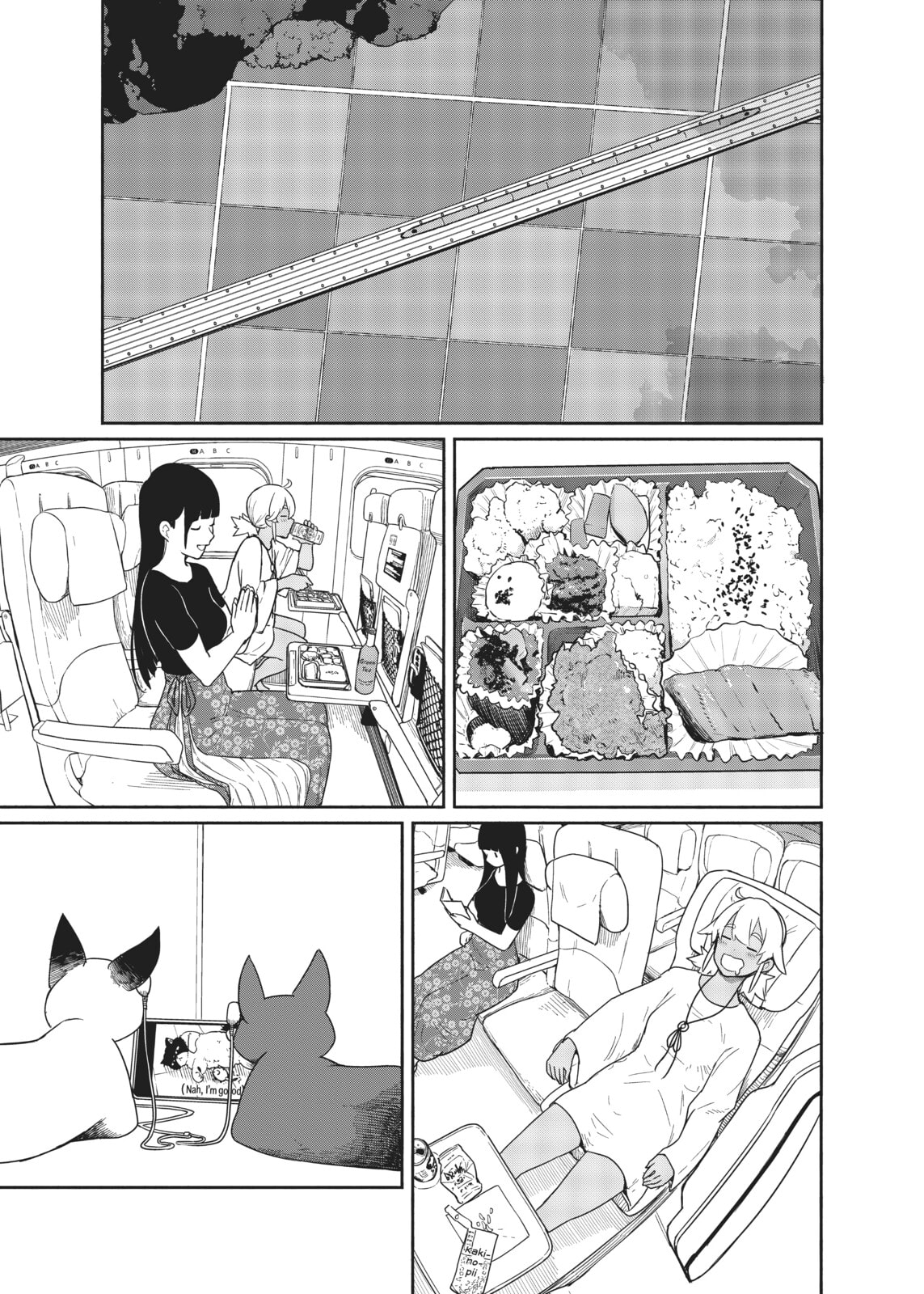 Fellow travelers, compassion for the cats page 16