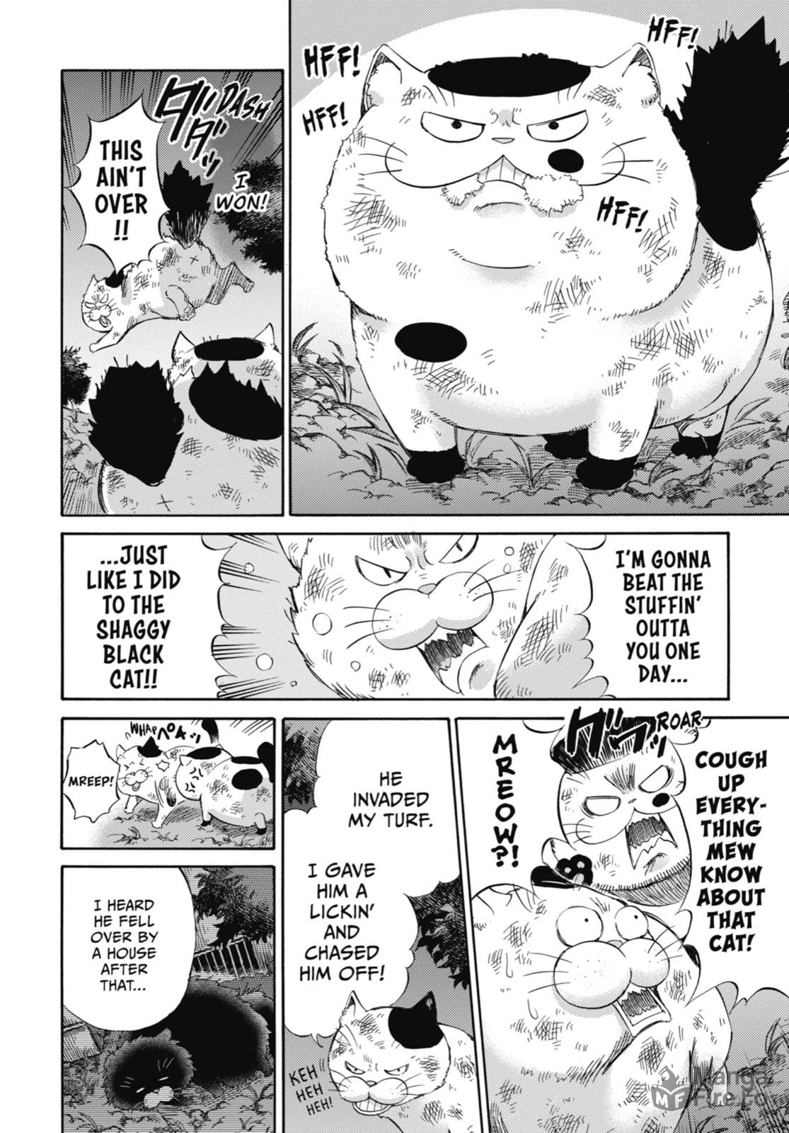 A Man and His Cat – Chapter 52 page 5
