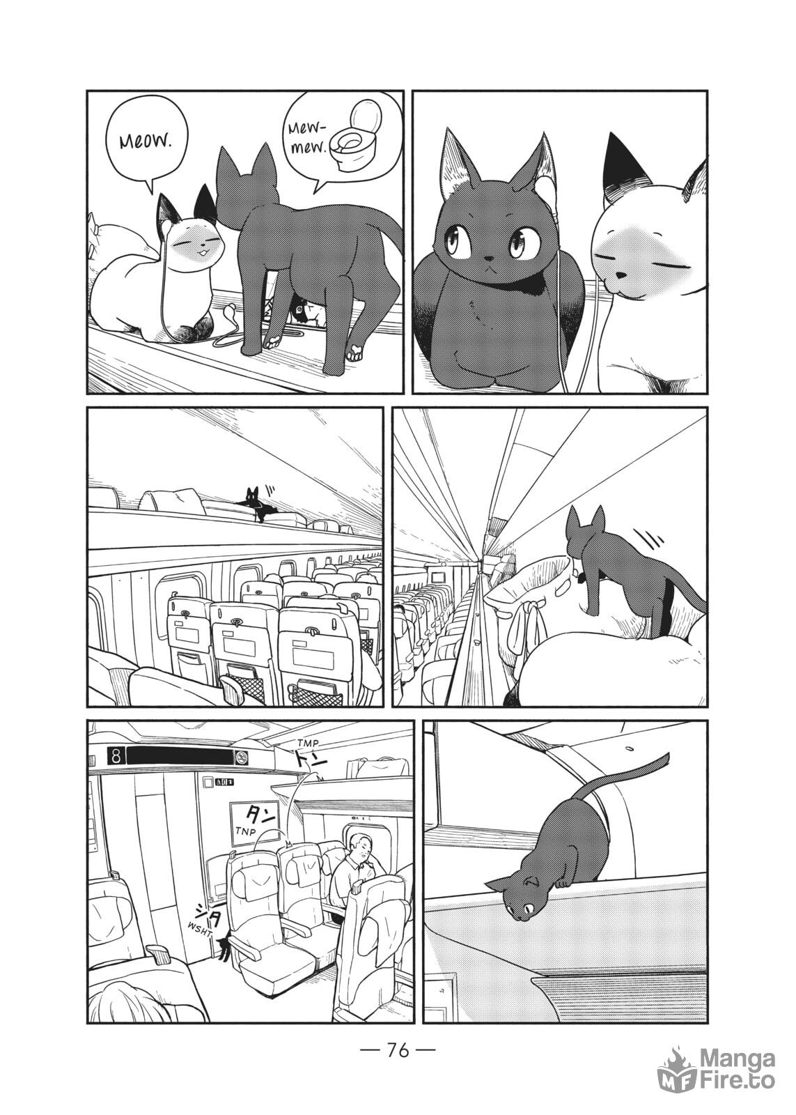 Fellow travelers, compassion for the cats page 17