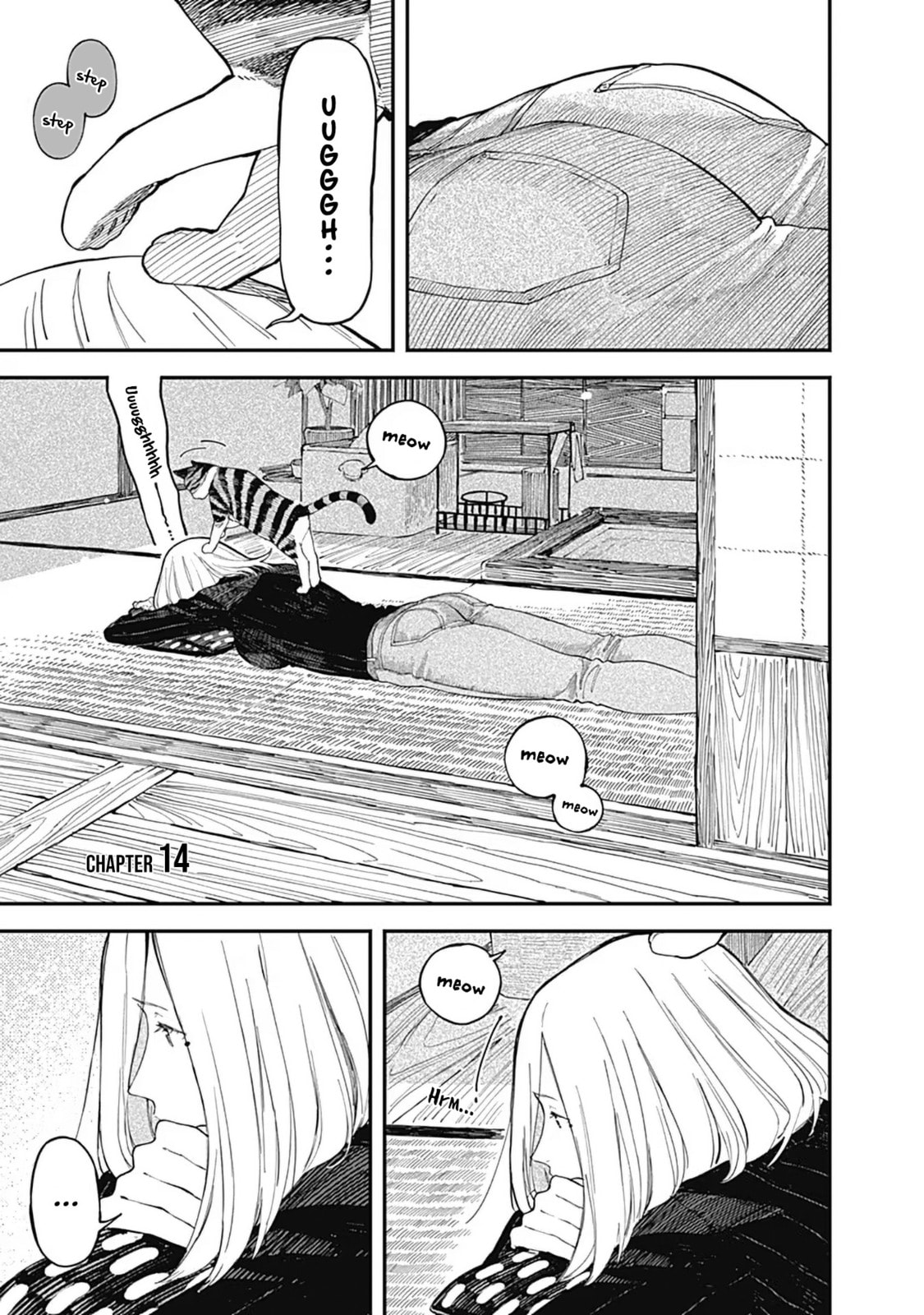 Mochi Pounding and Reservation page 0