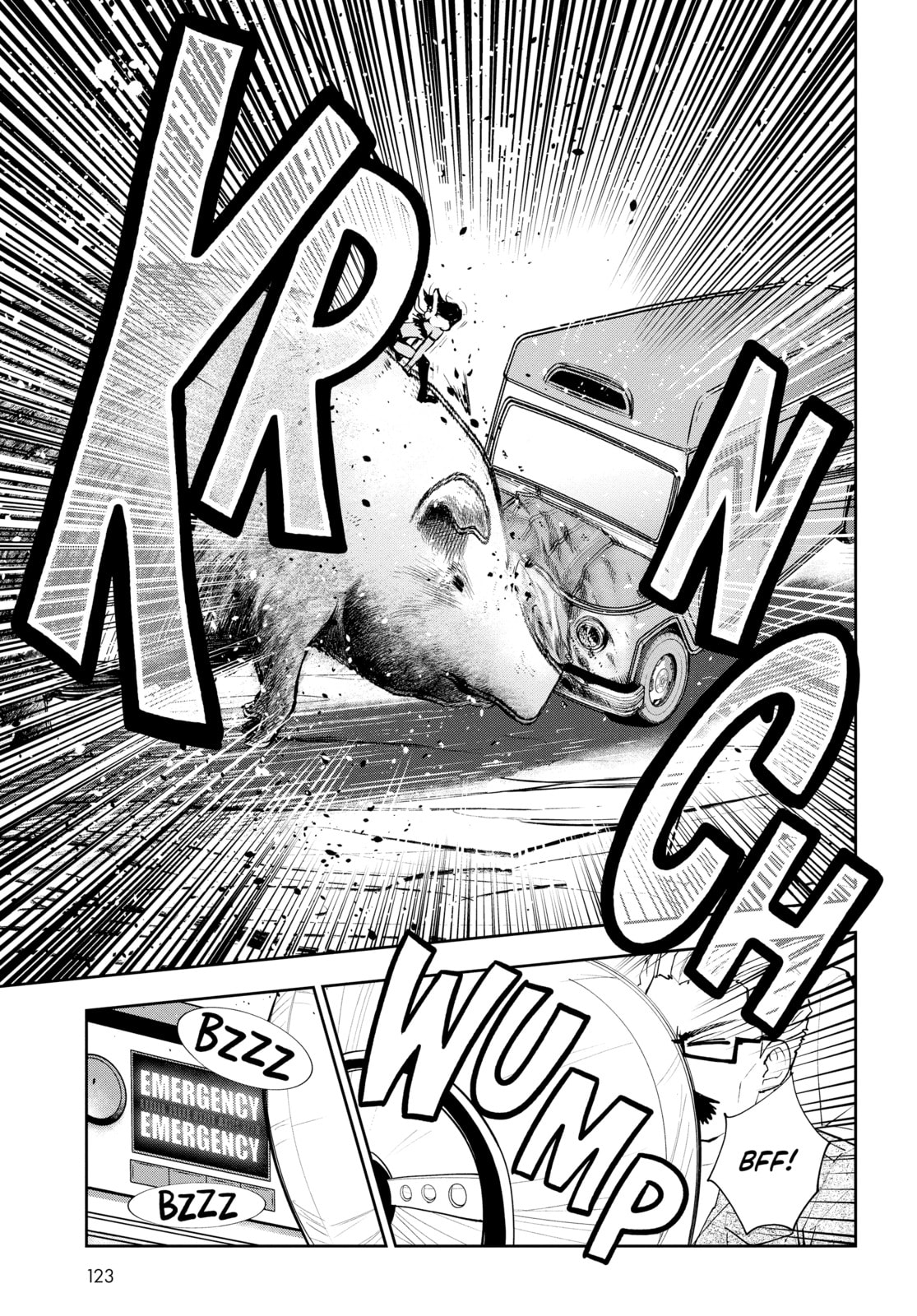 Pork Steak page 16