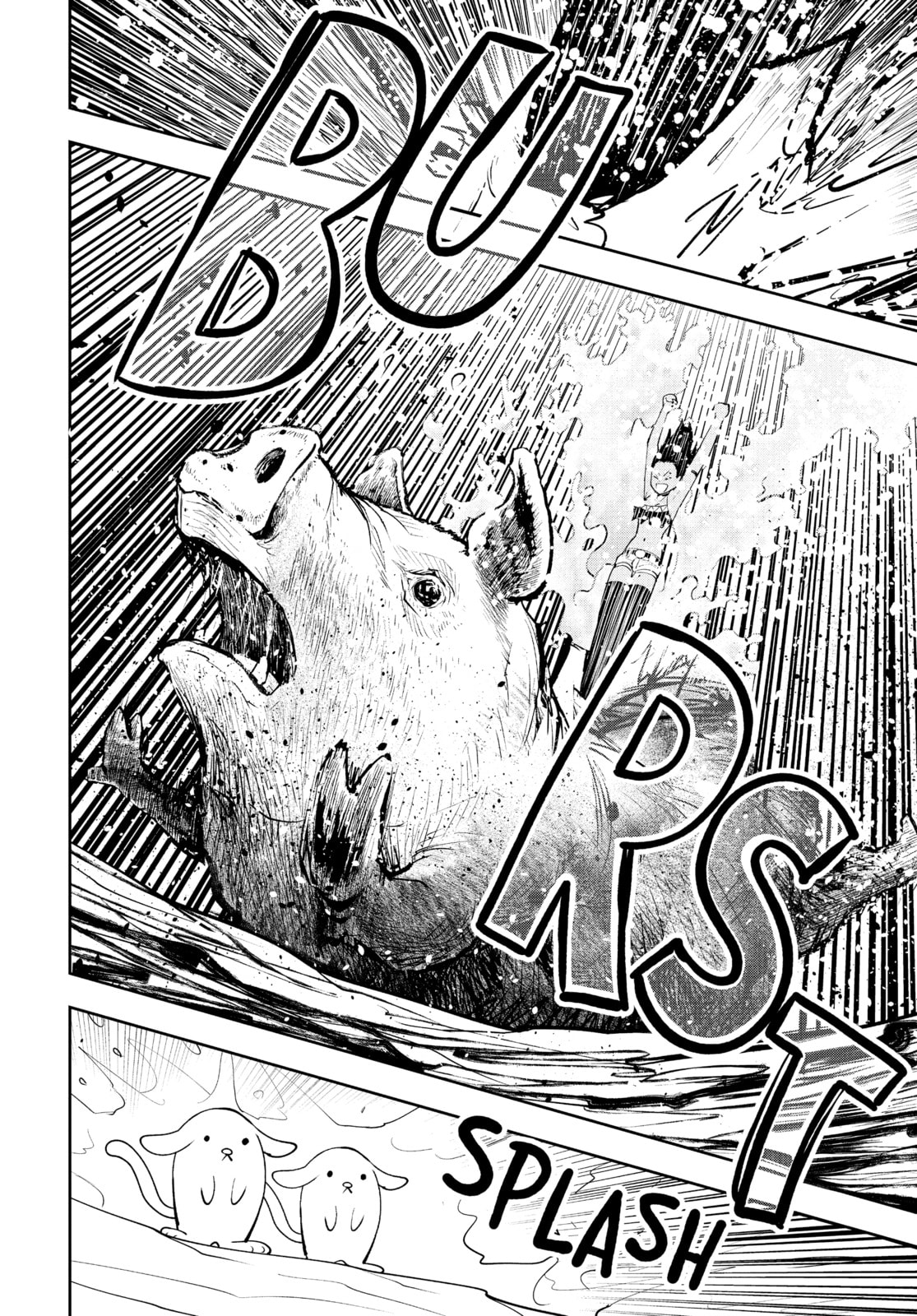 Pork Steak page 13