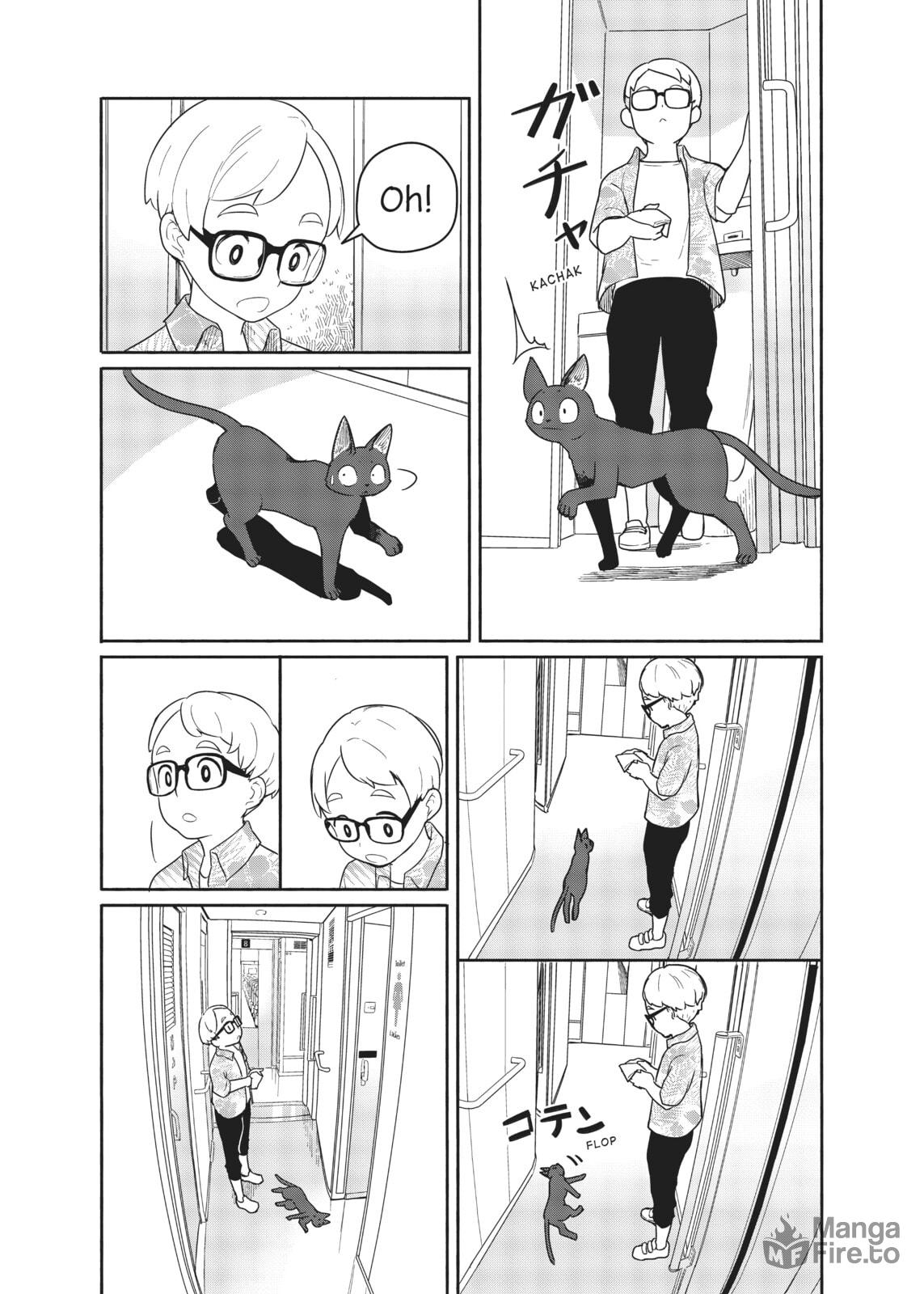 Fellow travelers, compassion for the cats page 19