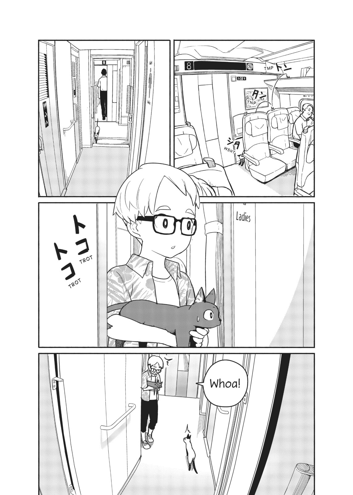 Fellow travelers, compassion for the cats page 21